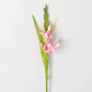 21.5"H Sullivans Soft Blushing Pink Gladiola, Pink