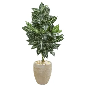 4’ Zebra Artificial Plant in Sand Colored Planter